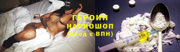 гашик Карпинск