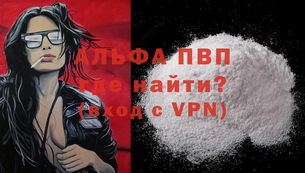 ПСИЛОЦИБИНОВЫЕ ГРИБЫ Карталы