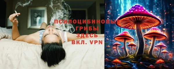 гидропоника Киренск