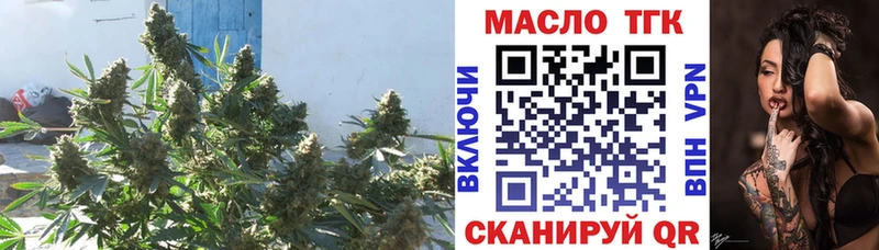 купить наркотики цена Юрюзань Дистиллят ТГК гашишное масло